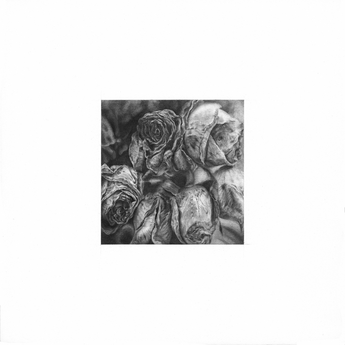 Dead roses 2018, 13x13cm, pencil on paper(31.5x31.5cm)